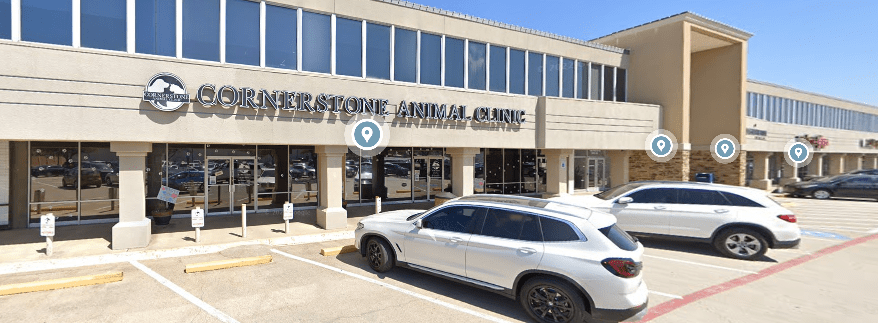 Car Crashes into Dallas Animal Clinic
